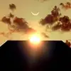 Arnaud Pascal - @arnaud.pascal0 - TikTok