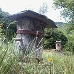 Pascal Arnaud - @pascal.arnaud.3557 - Instagram