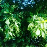 Pascal Arnaud - @arnaudpascal5736 - Instagram