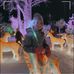 Pascal Bedard - Facebook