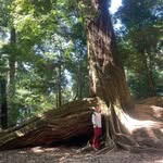 Pascal Cheng - @pascal.cheng.94 - Instagram