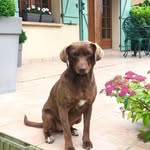 Pascal Jacques - @pascal.jacques.334 - Instagram