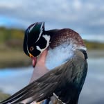 Pascal Parent - @quebec_.outdoors - Instagram