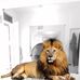 Pascal Fute - Facebook