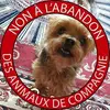 Pascale Michel790 - @pascalemichel790 - TikTok