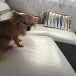 Pascale MICHEL - @pascalemichel5 - Instagram