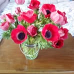 Pascale Michel - Facebook