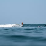 Pascale Michel - @pascalemichel - Instagram