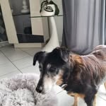 Pascale Michel - @pascalemichel988 - Instagram