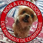 Pascale Michel - @pascale.michel.148 - Instagram