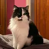 Pascale Michel - @pascale.michel3 - TikTok