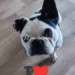 Pascale Michel - @pascale.michel.56 - Instagram