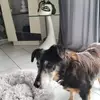 pascalemichel86 - @pascalemichel86 - TikTok