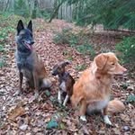 Pascale Thomas - @pascale2120 - Instagram