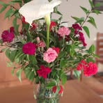 Pascale Thomas - Facebook