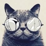 Pasha Perkis - @pasha.perkis - Instagram