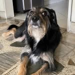 Pascual Antonio🐾❤️ - @pascual_antonio18 - Instagram