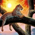 pascual dominguez acosta - @pascualdomingueza - Instagram