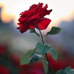 Pascuala Ramos - Facebook