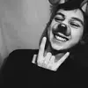 Pasha Gray 🐊🐯 - @phsvy - TikTok