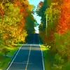 Pasha king - @pashaking666 - TikTok