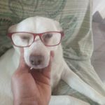 Pasquale Barbieri - @barbieri997 - Instagram