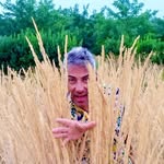 Pasquale Capozzi - @pasqualecapozzi1973 - Instagram