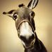 Pasquale Colangelo - Facebook
