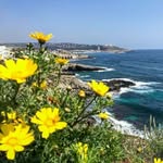 Pasquale Conte - @pasqualeconte66 - Instagram