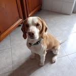 Pasquale Di Croce - @pasqualedicroce - Instagram