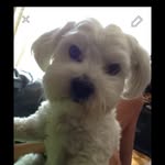 Marley Clyde Pasquale Finelli - @marley.clyde - Instagram