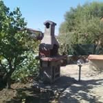 Pasquale Giannini - @pasquale.giannini.148 - Instagram