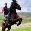 Pasquale Guida - @pasqualeguida10 - TikTok