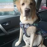 Pasquale Lamberti - @pasquale.lamberti.712 - Instagram
