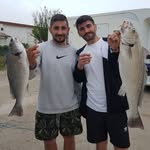 Pasquale Lamberti - @_pas_qua_le_ - Instagram