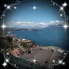 Pasquale Miele - @pasqualemiele8 - TikTok