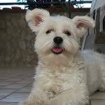 Pasquale Mosca - @_pasqualemosca_ - Instagram