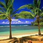 @pasquale.pirozzi - Instagram