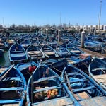 Pasquale Roberto Sarno - @robysarno000 - Instagram