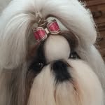 Pasquale Romanelli - @pasquale.romanelli.5 - Instagram