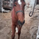 Pasquale Petrulli - @pasqualepetrulli - Instagram