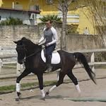 Pasquale Testa - @pasquale.testa.77 - Instagram