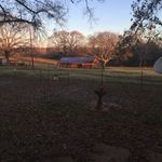 Pat Acker - @packer356 - Instagram