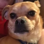 Pat Ackerley - @patackerley - Instagram