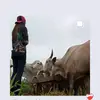 Patrícia acker - @patriciaacker19 - TikTok