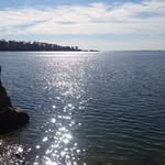 Pat Aiello - @caiello263 - Instagram