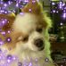 Pat Aiello - Facebook