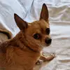 Patrizia Aiello6286 - @patriziaaiello628 - TikTok