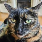 Pat Alexander - @krystalkat33 - Instagram