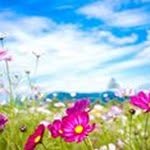 Pat Alexander - @patalexander8975 - Instagram